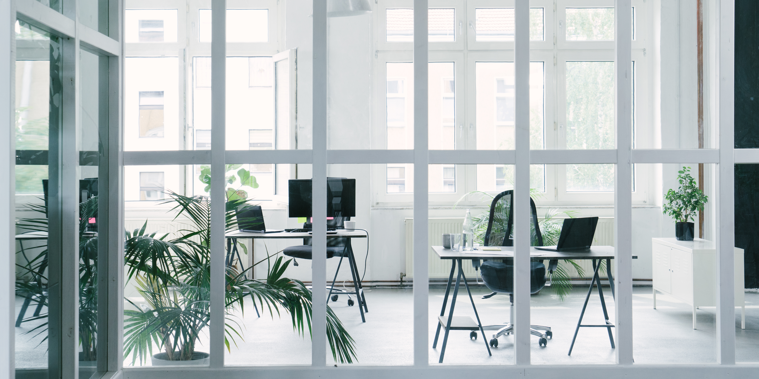office Cleaning