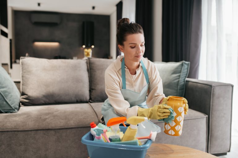 house cleaning service